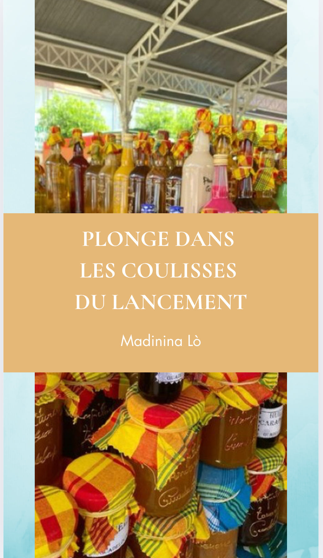 Le projet